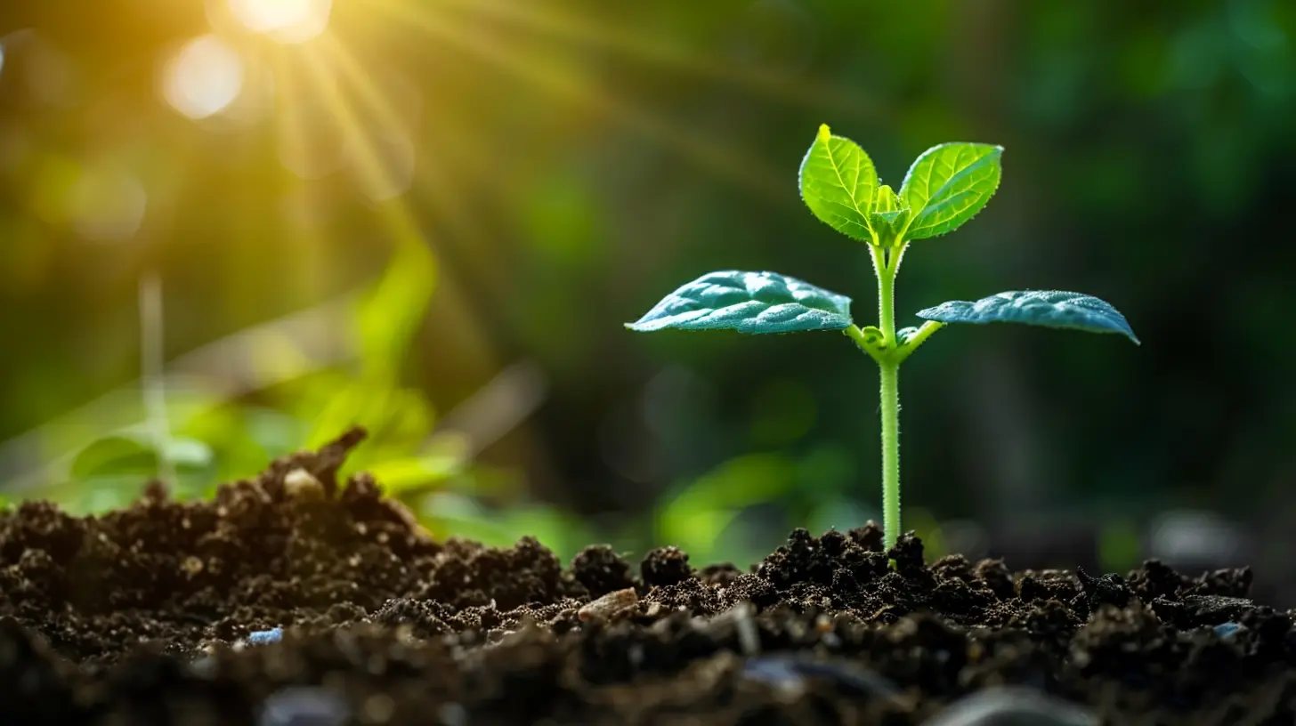Attracting Investors with a Strong Financial Foundation