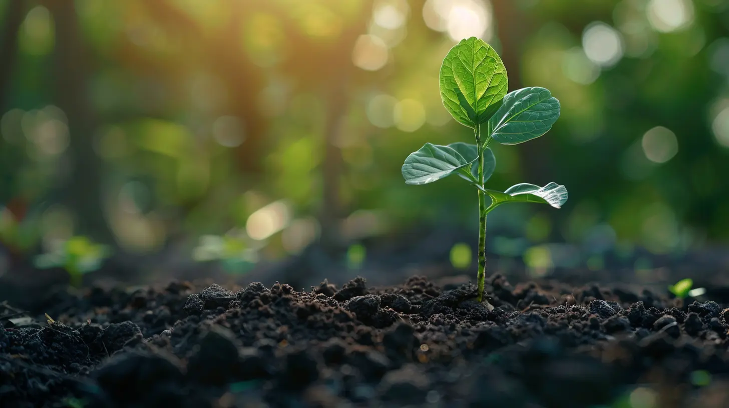 Attracting Investors with a Strong Financial Foundation