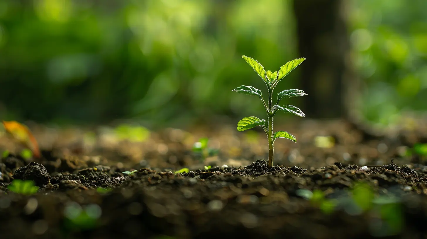 Common Myths About 401k Matching Debunked