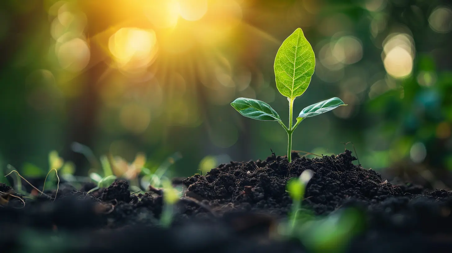 Discovering Value: How to Find Stocks with High Growth Potential