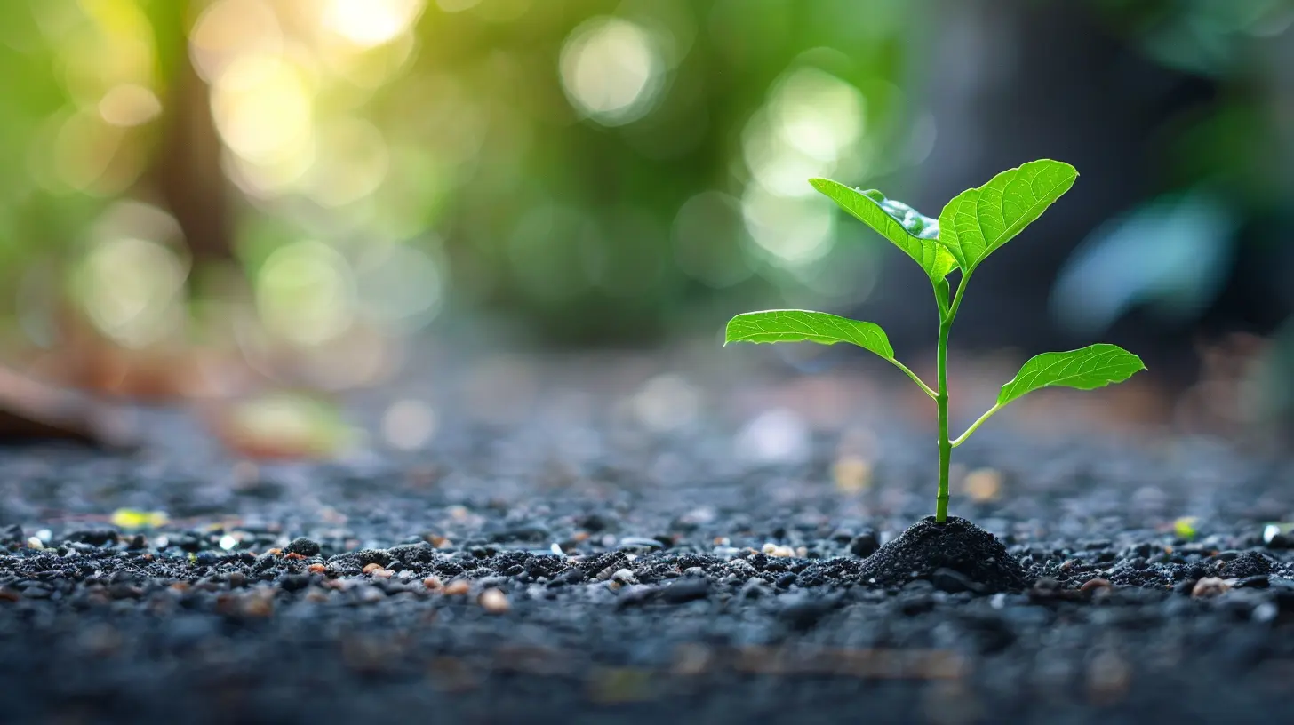 Entrepreneurial Finance: Secrets to Scaling With Limited Resources