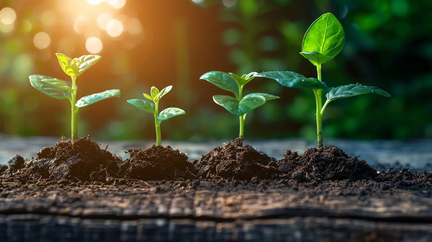 Financial Planning for Startups: From Idea to Launch