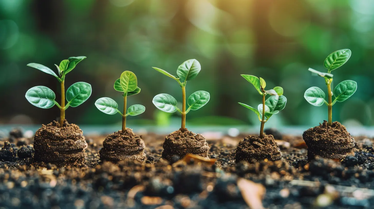 How Blockchain is Shaping the Future of Crowdfunding