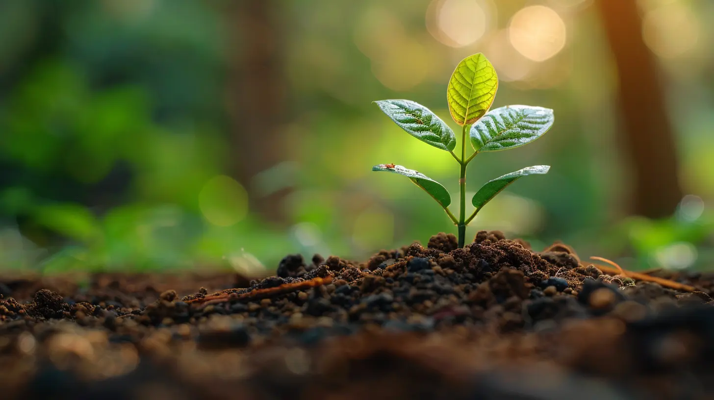 How to Launch a Successful Crowdfunding Campaign