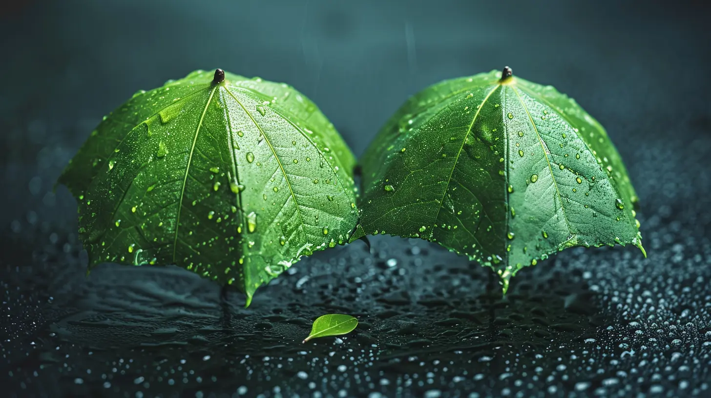 How to Lower Your Insurance Premiums Without Losing Coverage