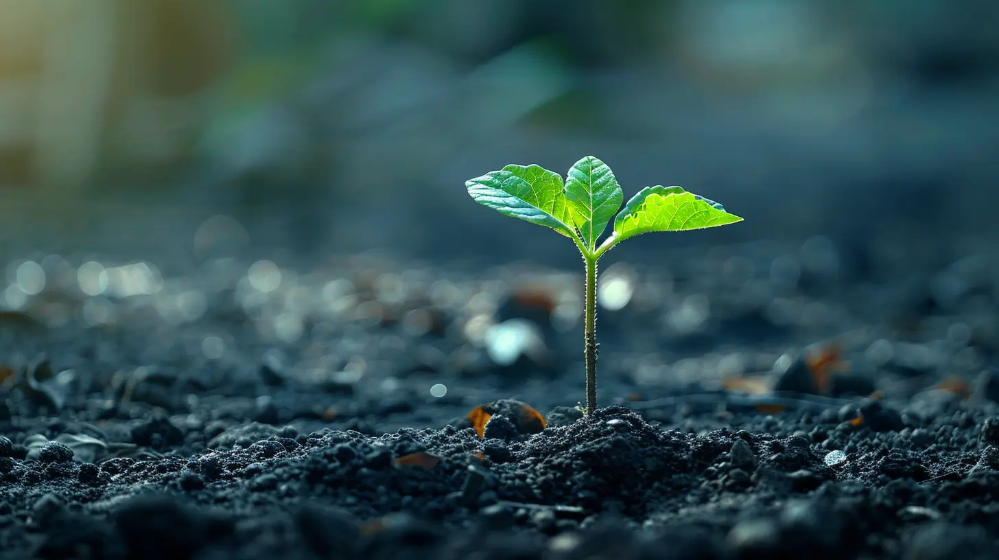 How to Raise the Right Amount of Capital for Your Startup