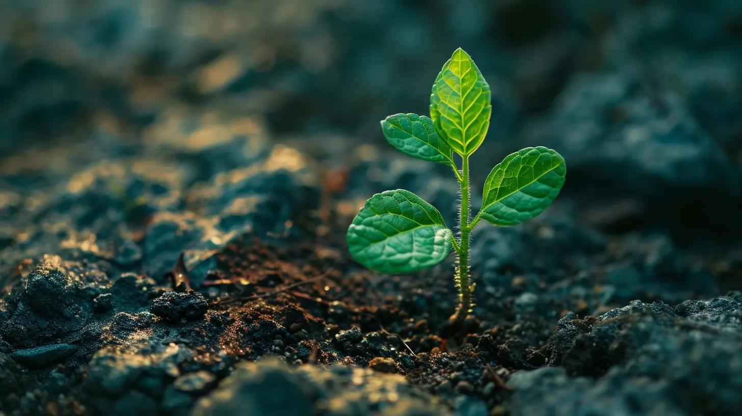 Key Financial Strategies for Growing Startups