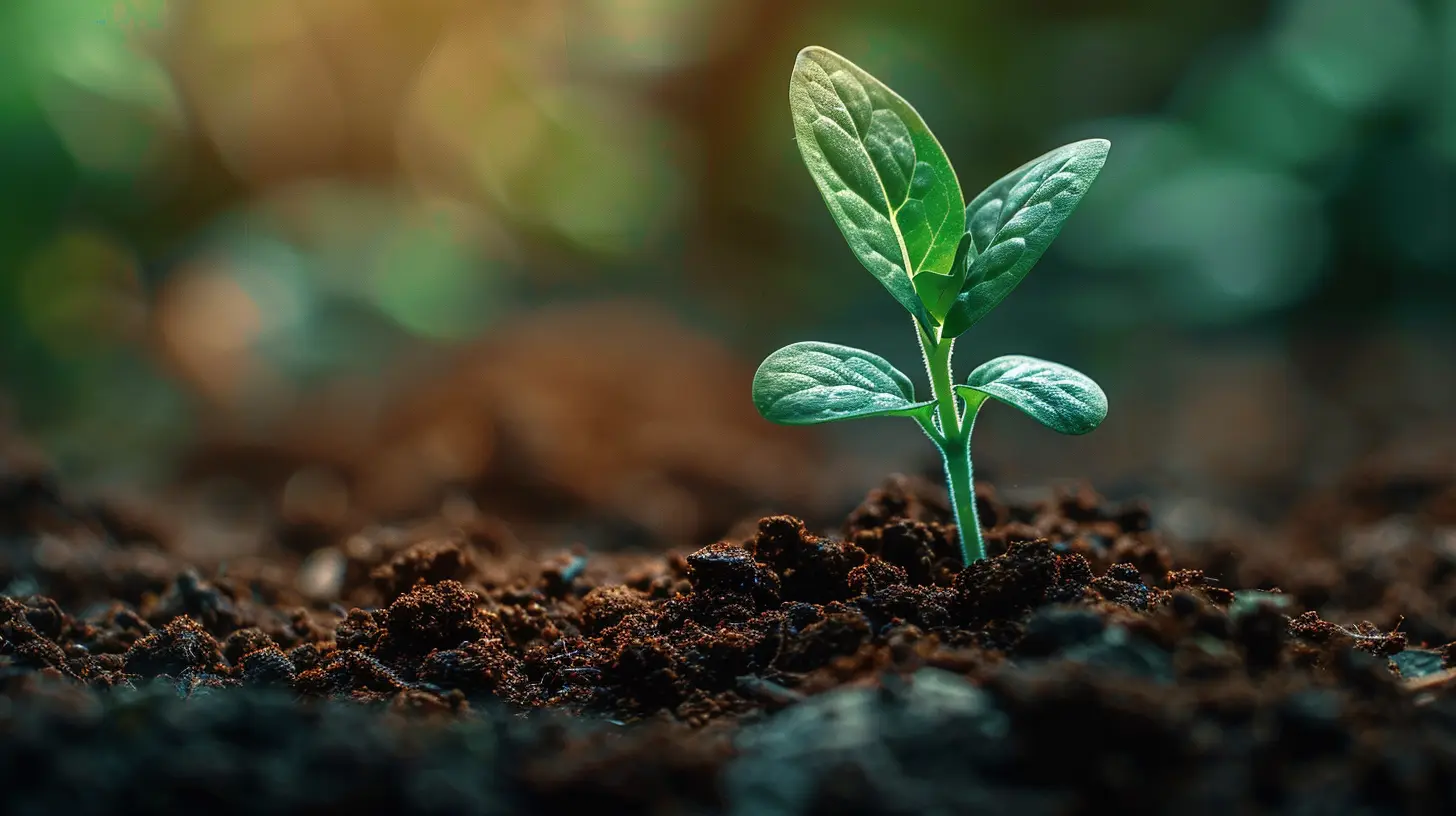 Making 401k Matching Work for You: A Guide to Financial Success