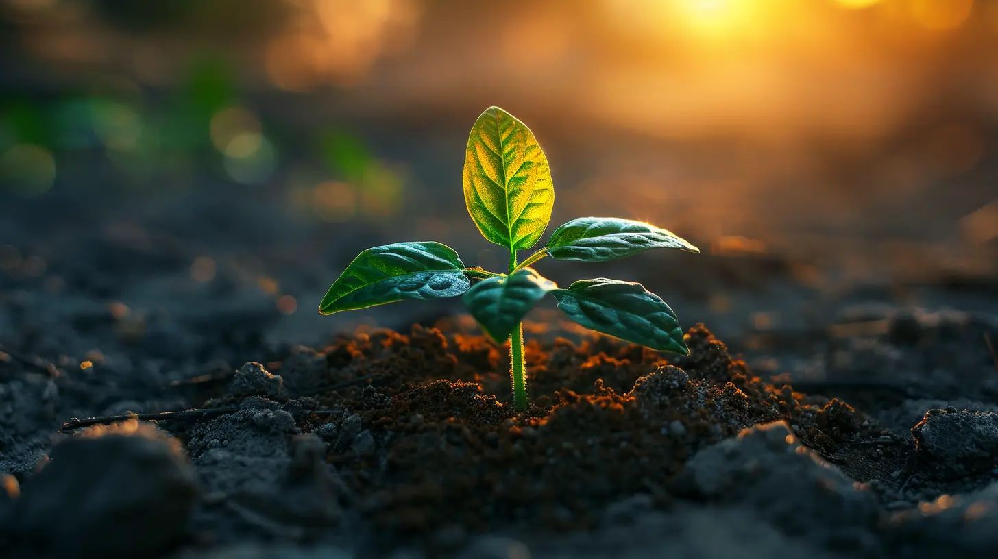 Surviving Financial Crises in the Early Stages of Your Startup