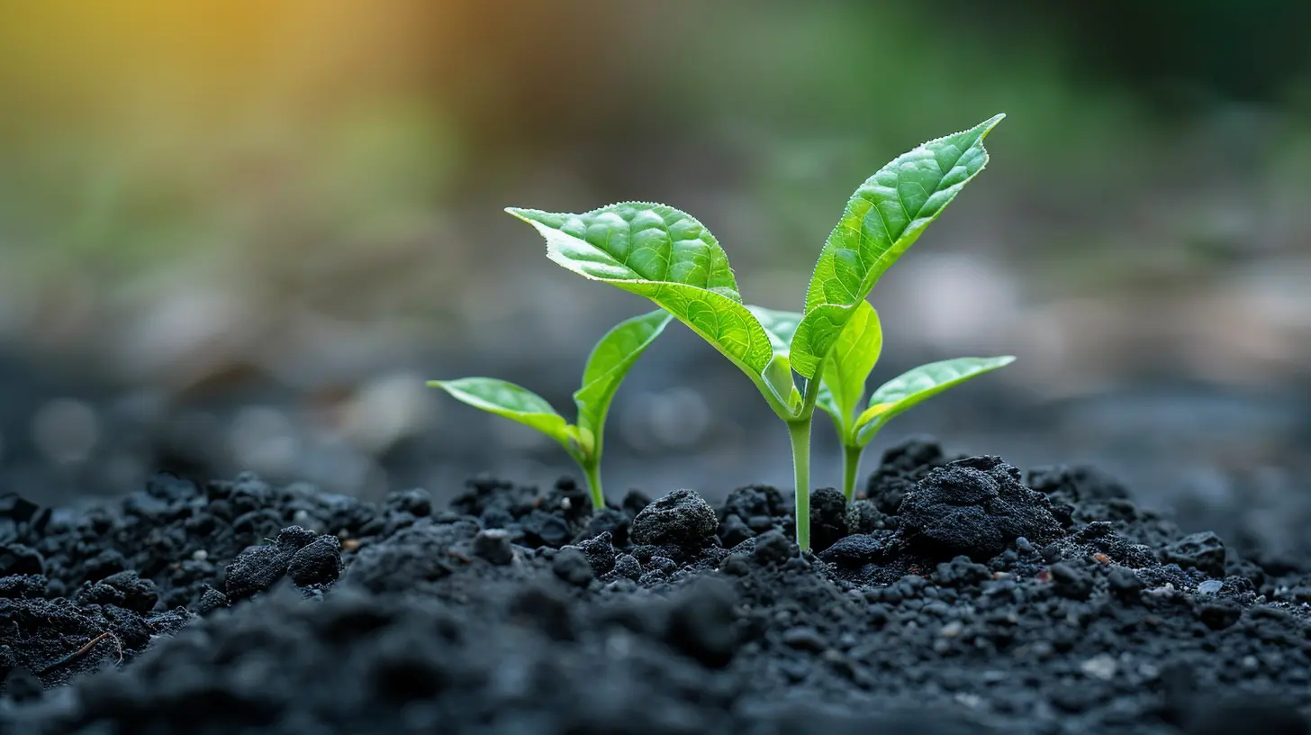 The Big Impact of Small Increases in Your 401k Matching Contributions