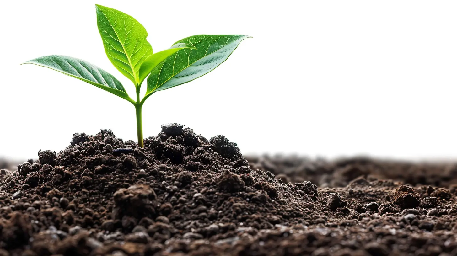 The Growing Importance of ESG in Financial Risk Management