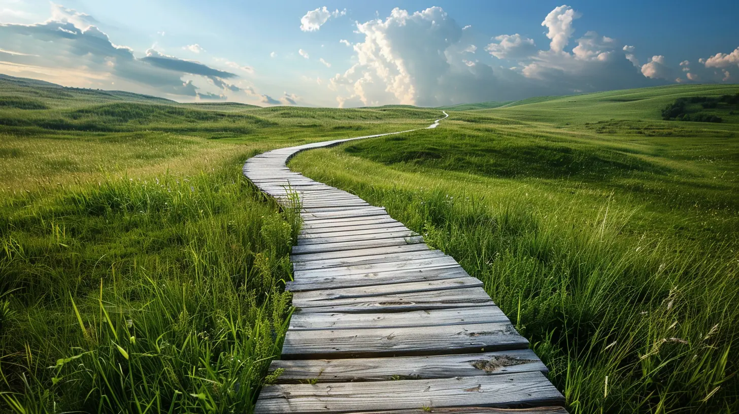 The Path to Financial Freedom: Essential Tools and Resources