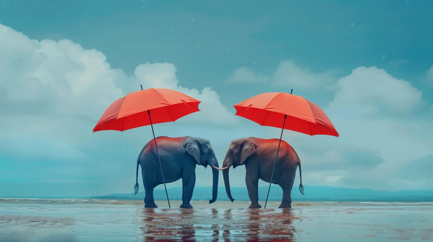 Understanding Your Employer's 401k Matching Policy: What You Need to Know