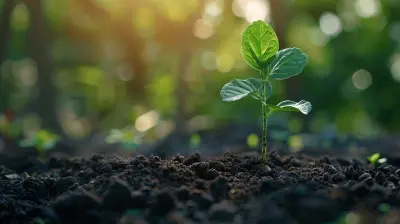 Attracting Investors with a Strong Financial Foundation