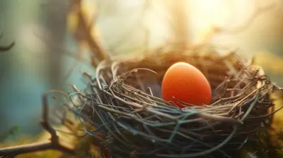 Boost Your Retirement Nest Egg with Employer 401k Matching