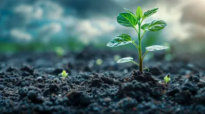 Building a Sustainable Startup With Limited Resources