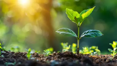 Creating a Lean Startup Budget for Maximum Growth