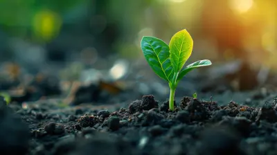 Crowdfunding As A Tool For Economic Recovery In Challenging Times