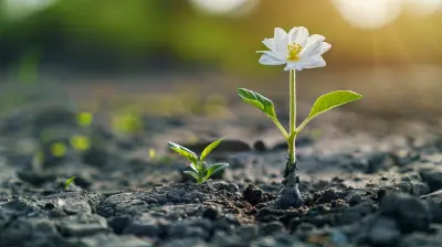 Crowdfunding as a Tool for Economic Recovery in Challenging Times