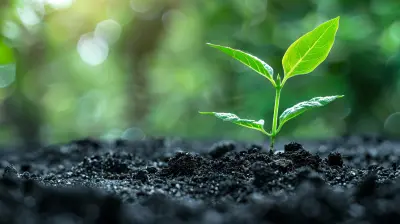 Entrepreneurial Finance: Secrets to Scaling With Limited Resources