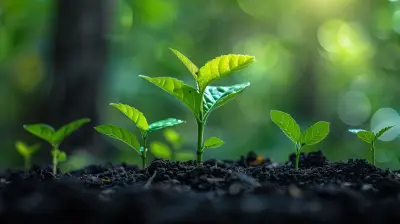 How to Raise the Right Amount of Capital for Your Startup
