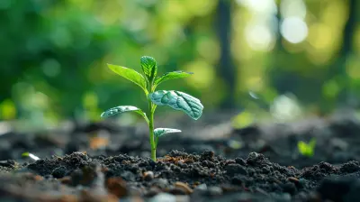 Key Financial Strategies for Growing Startups