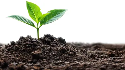 The Growing Importance Of Esg In Financial Risk Management