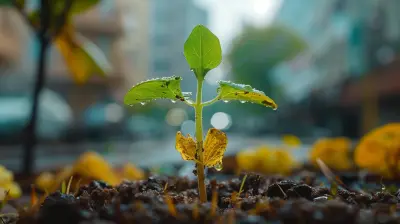 The Importance of Financial Transparency When Growing Your Team