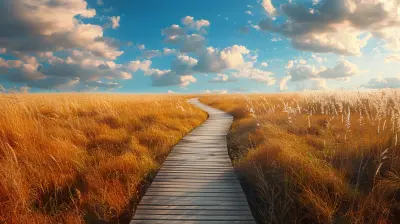 The Path To Financial Freedom Essential Tools And Resources