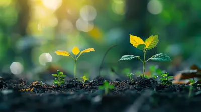 The Role Of 401k Matching In Strengthening Your Retirement Plan