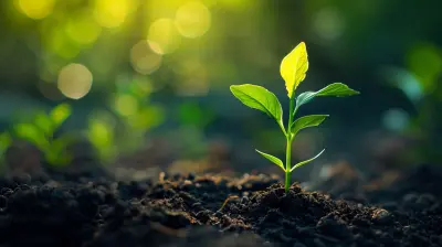 Why You Should Always Contribute Enough to Get the Full 401k Match