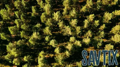 Evaluating the Effectiveness of ESG Scores in Portfolio Construction