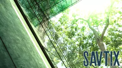 New global science highlights business risks from nature loss